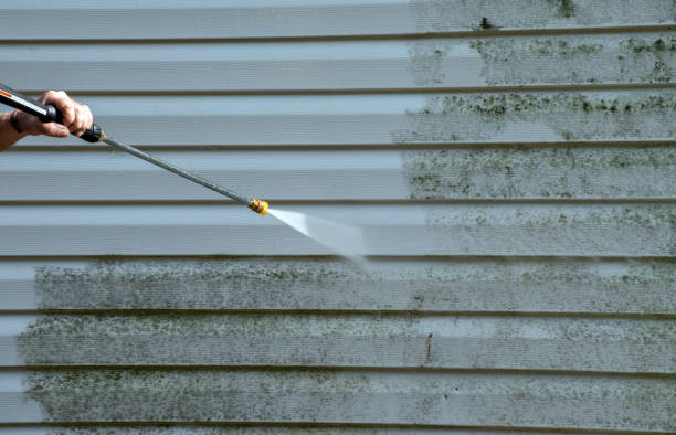 Best Fence Pressure Washing  in Lonsdale, MN