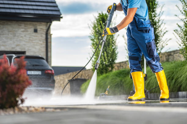 Best Roof Pressure Washing  in Lonsdale, MN